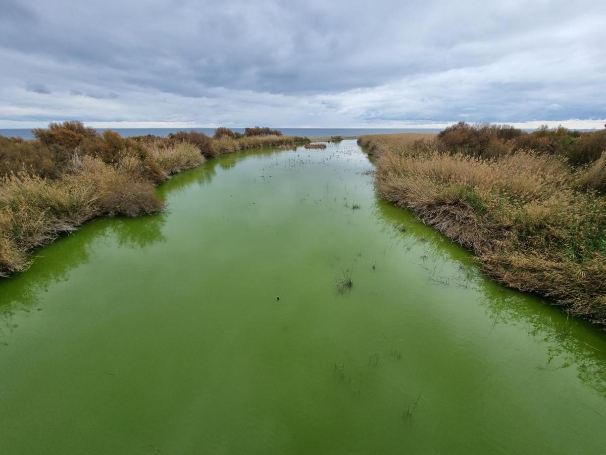 Pinar De Garrucha Lägenhet Exteriör bild